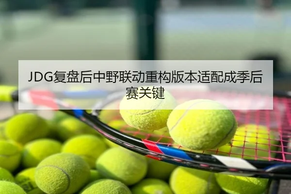 JDG复盘后中野联动重构版本适配成季后赛关键